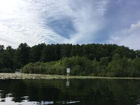 Schon lange werden rund um die Rahnsdorfer Inseln Vögel in eigenen Schutzgebieten geschützt. Das soll auch so bleiben.